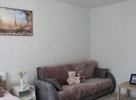 1-к кв. Новосибирская область, Новосибирск ул. Фрунзе, 20 (40.0 м²) - Фрунзе. Новосибирск - фото 2