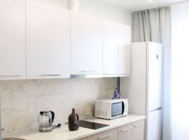 1-к кв. Новосибирская область, Новосибирск ул. Фрунзе, 20 (40.0 м²) - Фрунзе. Новосибирск - фото 3