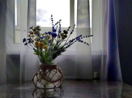 1-к кв. Оренбургская область, Оренбург ул. Березка, 17 (40.0 м²) - . Оренбург - фото 8