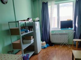 Студия Новосибирская область, Новосибирск Железнодорожная ул., 15 (26.0 м²) - Железнодорожная (Орлов Овраг тер.). Новосибирск - фото 1