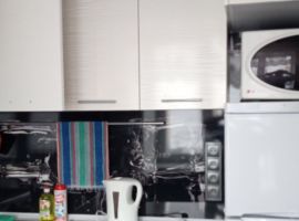 2-к кв. Омская область, Омск просп. Карла Маркса, 29А (45.0 м²) - Карла Маркса (ГСК N 708 тер.). Омск - фото 11