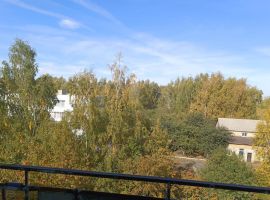 1-к кв. Пензенская область, Каменка ул. Ворошилова, 22 (30.0 м²) - . Каменка - фото 5