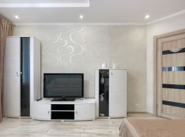 1-к кв. Московская область, Раменское ул. Чугунова, 11/1 (50.0 м²) - . Раменское - фото 18