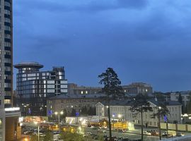 2-к кв. Московская область, Королев Пионерская ул., 17к2 (50.0 м²) - Пионерская. Королев - фото 16