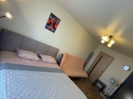1-к кв. Нижегородская область, Нижний Новгород ул. Окская, 1 (42.0 м²) - Сокская лесобиржа. Нижний Новгород - фото 1