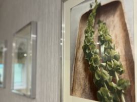 2-к кв. Ленинградская область, Выборг Московский просп., 14 (55.0 м²) - . Выборг - фото 14