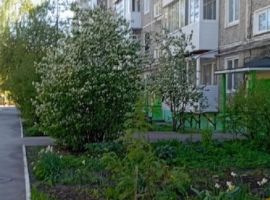 1-к кв. Пермский край, Пермь Петрозаводская ул., 10 (33.0 м²) - . Пермь - фото 7