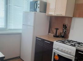1-к кв. Оренбургская область, Гай Челябинская ул., 124 (31.0 м²) - Челябинская. Гай - фото 5