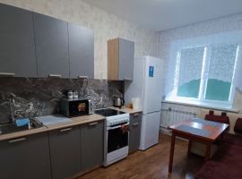 1-к кв. Новосибирская область, Обь ул. Большая, 25 (33.0 м²) - Большая Караванная. Обь - фото 8