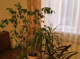 2-к кв. Ростовская область, Новочеркасск Народная ул., 71 (46.0 м²) - Народная. Новочеркасск - фото 1