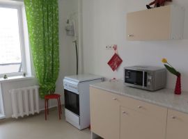 1-к кв. Псковская область, Псков Коммунальная ул., 70 (38.0 м²) - . Псков - фото 7