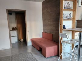 Студия Московская область, Клин ул. Чайковского, 105к1 (28.0 м²) - . Клин - фото 3