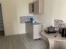 1-к кв. Новосибирская область, Новосибирск ул. Ясный Берег, 12 (47.0 м²) - . Новосибирск - фото 4