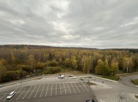 1-к кв. Нижегородская область, Нижний Новгород ул. Бориса Видяева, 28 (30.0 м²) - . Нижний Новгород - фото 8