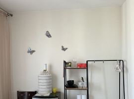 Студия Ленинградская область, Кировск Новая ул., 29 (24.0 м²) - Каштановая. Кировск - фото 9