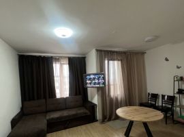 Студия Ленинградская область, Кировск Новая ул., 29 (24.0 м²) - Каштановая. Кировск - фото 1