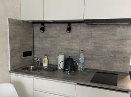 Студия Московская область, Лыткарино 6-й мкр, 33 (25.0 м²) - . Лыткарино - фото 3