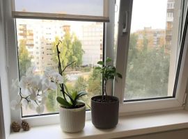 1-к кв. Нижегородская область, Нижний Новгород Коломенская ул., 12 (33.3 м²) - . Нижний Новгород - фото 15