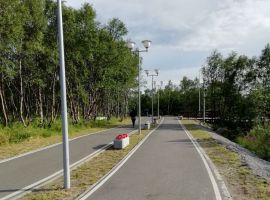 1-к кв. Мурманская область, Мурманск просп. Героев-Североморцев, 11к1 (30.0 м²) - . Мурманск - фото 14