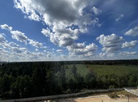 Студия Московская область, Мытищи ул. Стрельбище Динамо, 10 (27.0 м²) - . Мытищи - фото 17