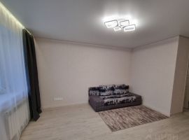 2-к кв. Саратовская область, Саратов ул. Большая Горная, 156/158 (49.0 м²) - . Саратов - фото 14