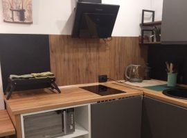 Студия Ленинградская область, Сертолово Всеволожский район, Центральная ул., 14к4 (23.0 м²) - Центральная (19 км Московского шоссе тер. Сертолово - фото 14