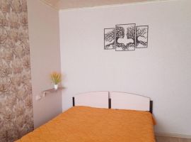 1-к кв. Волгоградская область, Камышин 4-й мкр, 84 (30.0 м²) - . Камышин - фото 18