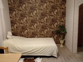 1-к кв. Курганская область, Шадринск Комсомольская ул., 18 (30.0 м²) - Новокомсомольская. Шадринск - фото 2