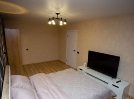 1-к кв. Псковская область, Псков Гдовская ул., 24 (35.0 м²) - . Псков - фото 2