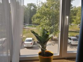 1-к кв. Липецкая область, Липецк ул. Гагарина, 71 (29.7 м²) - Гагарина. Липецк - фото 3