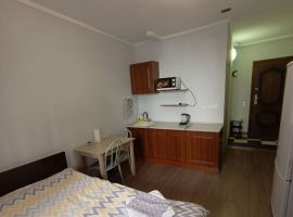 Студия Московская область, Балашиха ул. Строителей, 3 (20.0 м²) - Строителей. Балашиха - фото 1