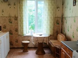 1-к кв. Новгородская область, Великий Новгород Большая Санкт-Петербургская ул., 18/98 (50.0 м²) - . Великий Новгород - фото 1
