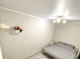 2-к кв. Московская область, Павловский Посад ул. Выставкина, 2/2 (47.0 м²) - . Павловский Посад - фото 4