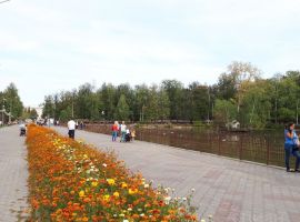 1-к кв. Нижегородская область, Нижний Новгород ул. Мечникова, 69 (34.0 м²) - Мечникова. Нижний Новгород - фото 14