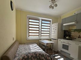 1-к кв. Нижегородская область, Нижний Новгород ул. Маршала Казакова, 8к1 (40.0 м²) - . Нижний Новгород - фото 11
