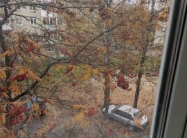2-к кв. Костромская область, Кострома просп. Мира, 131 (42.0 м²) - Мира. Кострома - фото 10