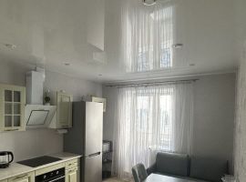 1-к кв. Липецкая область, Липецк ул. И.В. Свиридова, 18 (43.0 м²) - . Липецк - фото 5
