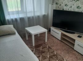 1-к кв. Пермский край, Соликамск Соликамское ш., 4 (30.0 м²) - . Соликамск - фото 2