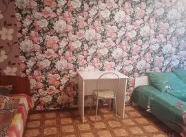 1-к кв. Ленинградская область, Лодейное поле просп. Урицкого, 8А (33.0 м²) - Урицкого. Лодейное поле - фото 8