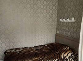 Студия Нижегородская область, Кстово Зеленая ул., 10А (25.0 м²) - Зеленая (СНТ Нижние дойки-массив N3 тер.. Кстово - фото 12