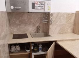 Студия Пермский край, Пермь ул. Пушкина, 23 (25.0 м²) - ГСК Пушкина 268. Пермь - фото 3