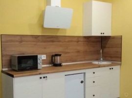 Студия Пензенская область, Пенза ул. Антонова, 5В (25.0 м²) - Антонова-Овсеенко. Пенза - фото 2