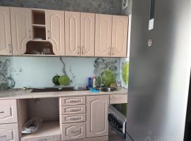 1-к кв. Новосибирская область, Новосибирск ул. Титова, 252/2 (32.0 м²) - . Новосибирск - фото 9