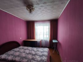2-к кв. Новосибирская область, Барабинск Сельская ул., 2А (50.0 м²) - Сельская (СТ Сухая Самарка тер.). Барабинск - фото 2