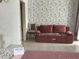 1-к кв. Московская область, Пересвет Сергиево-Посадский район, ул. Мира, 5 (31.0 м²) - Мира. Пересвет - фото 13