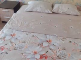 1-к кв. Псковская область, Псков Рижский просп., 91А (330.0 м²) - . Псков - фото 1