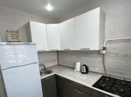 1-к кв. Новгородская область, Боровичи Вышневолоцкая ул., 18 (30.5 м²) - . Боровичи - фото 6