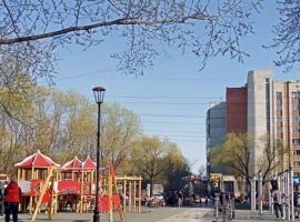 1-к кв. Омская область, Омск ул. Кирова, 8 (33.0 м²) - Кирова (ГСК N 740 тер.). Омск - фото 6