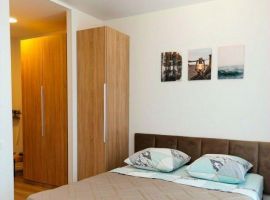 Студия Московская область, Мытищи пер. 1-й Стрелковый, 1 (22.0 м²) - . Мытищи - фото 1
