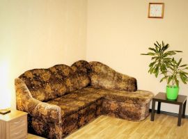 2-к кв. Псковская область, Псков Рижский просп., 52Б (50.0 м²) - . Псков - фото 9
